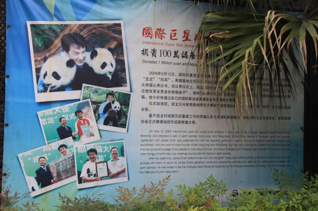 2010-09-28-Project-Panda-day-7-042-620x413