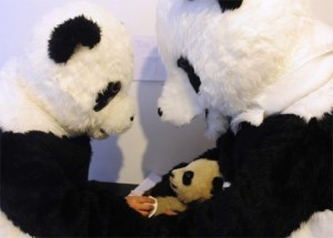 Researchers dressed as pandas at the CCRCGP Hetaoping Base