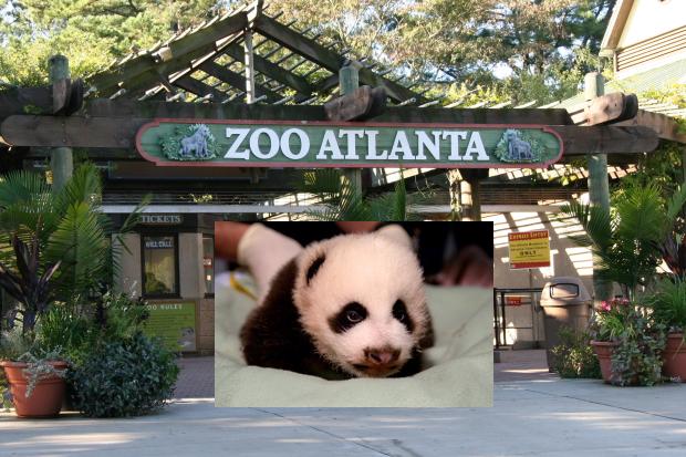 2007-Zoo-Atlanta-002-2