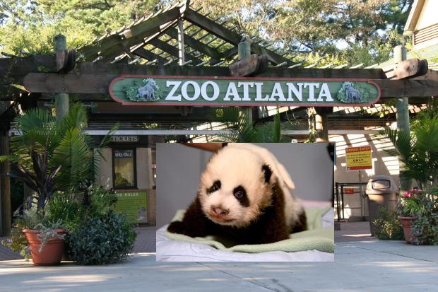 2007-Zoo-Atlanta-002