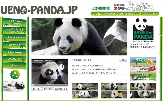 Ueno-Panda-Jp-620x390