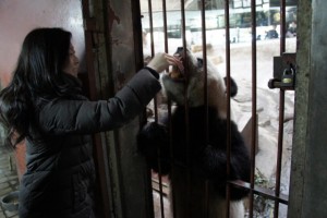 Pambassador Yumiko Kajiwara @ Beijing Zoo - Spring Festival 2011
