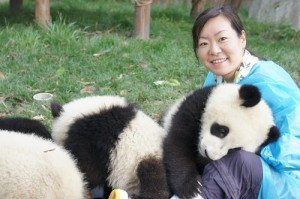 Pambassador Yumiko @ Chengdu Panda Base