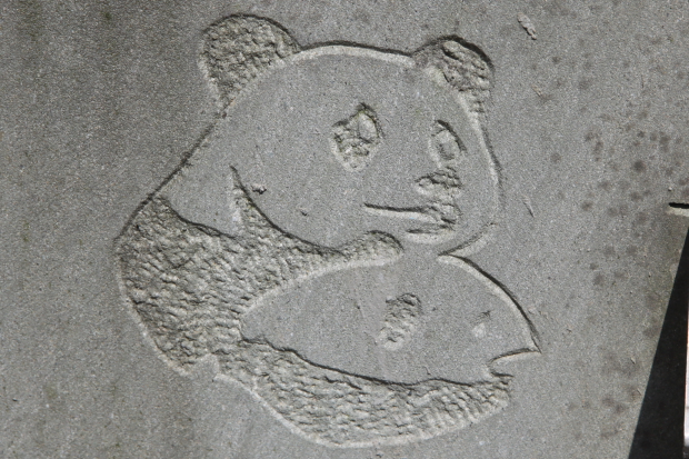 2010-10-05-Yaan-Bi-Feng-Xia-Base-of-CCRCGP-007