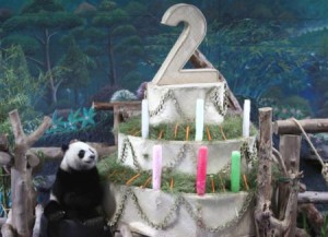 Lin Ping's second birthday