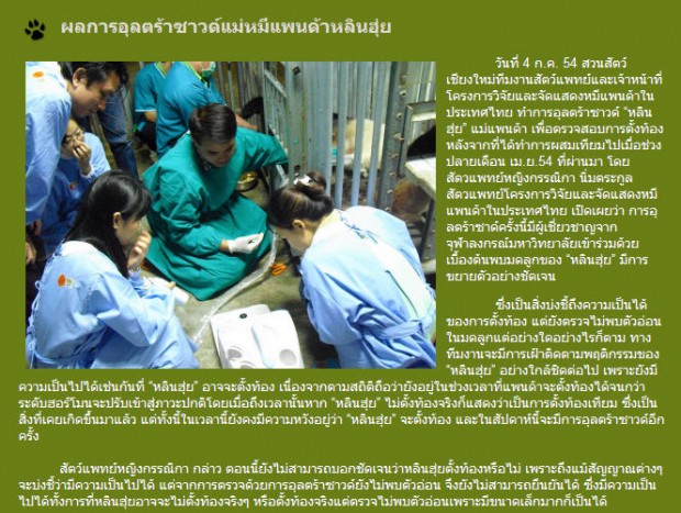 ภาพอัลตร้าซาวด์-620x467