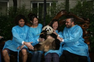 4 Pambassadors reunite in Chengdu