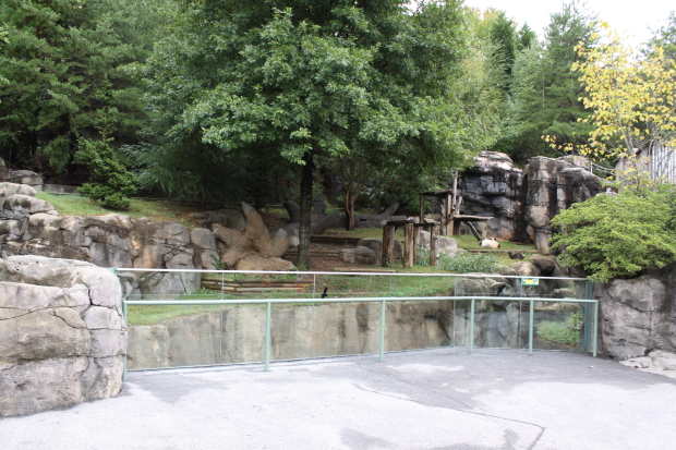 2009-10-06-2009-10-07-Zoo-Atlanta-042