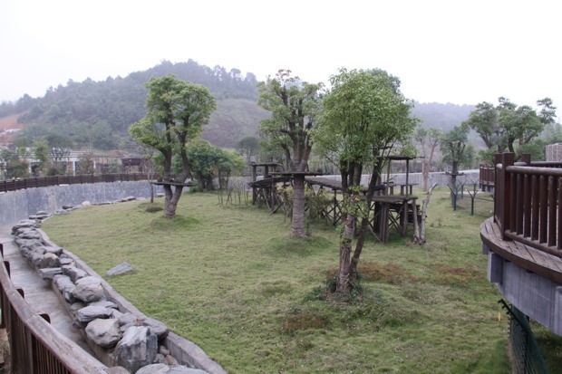 2011-11-07-2011-11-10-Changsha-Ecological-Zoo-017