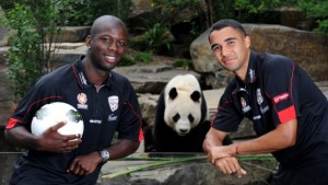 Adelaide United throw their support behind giant pandas