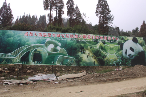 2011-11-16-Chengdu-Field-Research-Centre-for-Giant-Pandas-CRBGPB-001