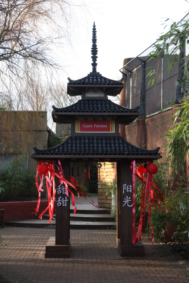 2011-12-14-2011-12-15-Edinburgh-Zoo-032