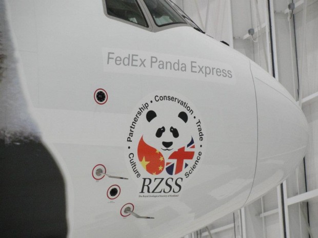 FedEx Panda Express: How Do You Move a Panda.