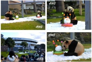 Ai Hin & Mei Hin celebrated their 5th Birthday