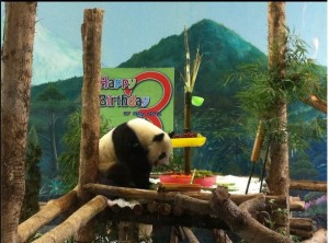 Lin Ping celebrates her 3rd birthday