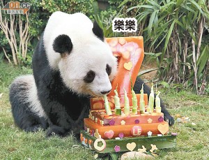 Ocean Park Panda Birthdays
