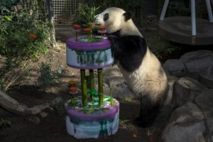 Yun Zi's Birthday Weekend