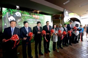 Singapore's Panda Exhibit opened for Panda Preview