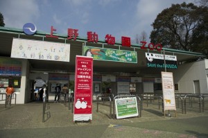 Ueno Zoo closed Panda House for the Breeding Season