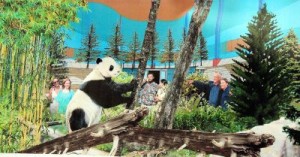 Zoo Negara to house Malaysia's future panda pair