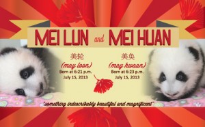 Zoo Atlanta's twins named Mei Lun & Mei Huan