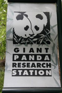 San Diego Zoo's Panda Conservation Program