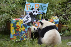 Alles Gute zum Geburtstag Fu Bao