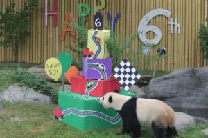 Da Mao celebrates his 6th birthday
