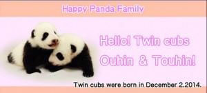 Adventure World's twins named Ou Hin & Tou Hin