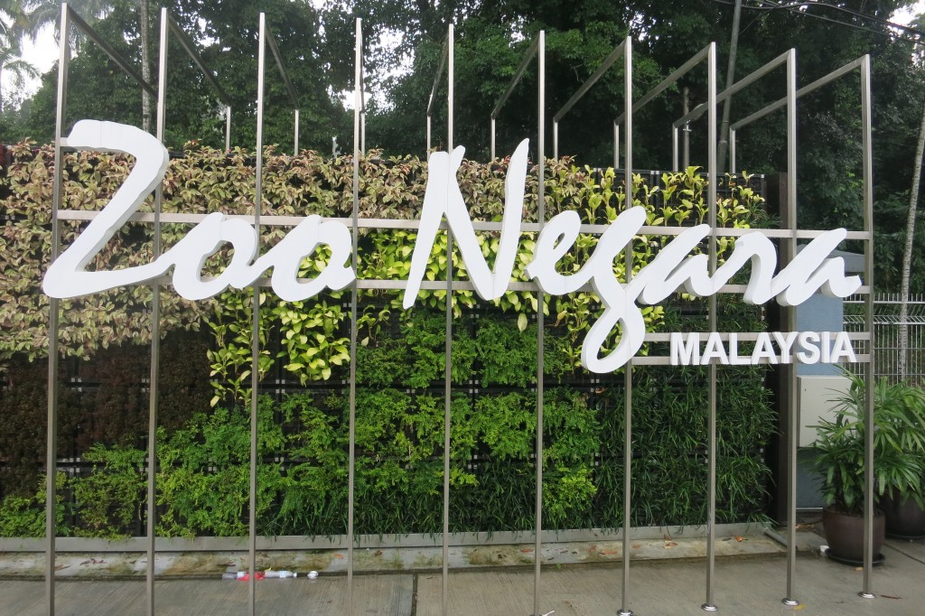 2014 09 14 - 2014 09 15 Zoo Negara 001