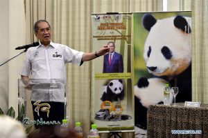 Malaysia's panda cub named Nuan Nuan