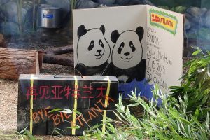 A bamboo bon voyage to Mei Lun and Mei Huan