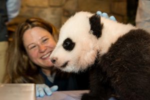 Keepers' Favorite Memories of Bao Bao