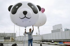 Japan celebrates the birth of a panda cub