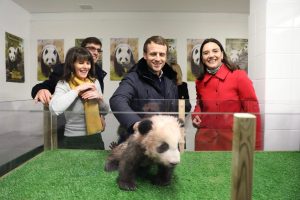 French President Emmanuel Macron celebrated his 40th birthday with pandas