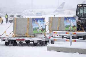 Hua Bao & Jin Baobao arrive in Finland