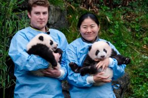 Belgian twins named Bao Di & Bao Mei